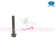 OEM Polaris Sechskantschraube mit Flansch 10 mm x 1,25 mm x 60 mm - 7519210