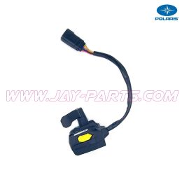 OEM Polaris Electronic Throttle Control / EU